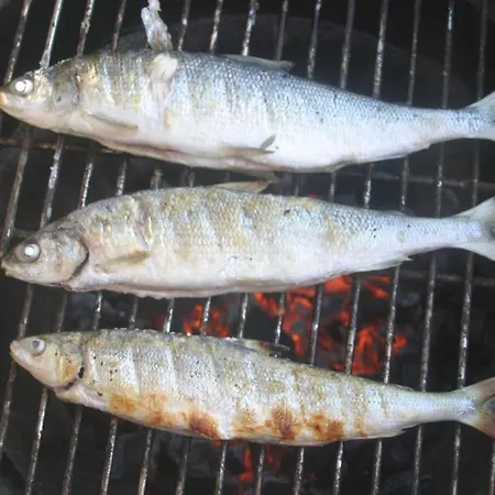 Apartamento Reuter *