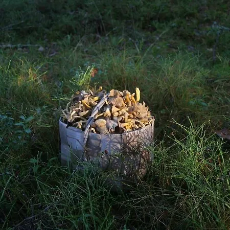 Reuter * Stormalo