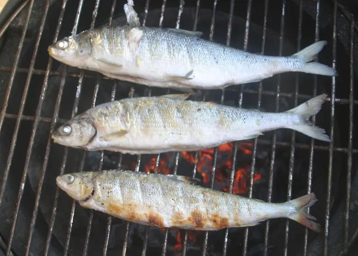 Διαμέρισμα Reuter *